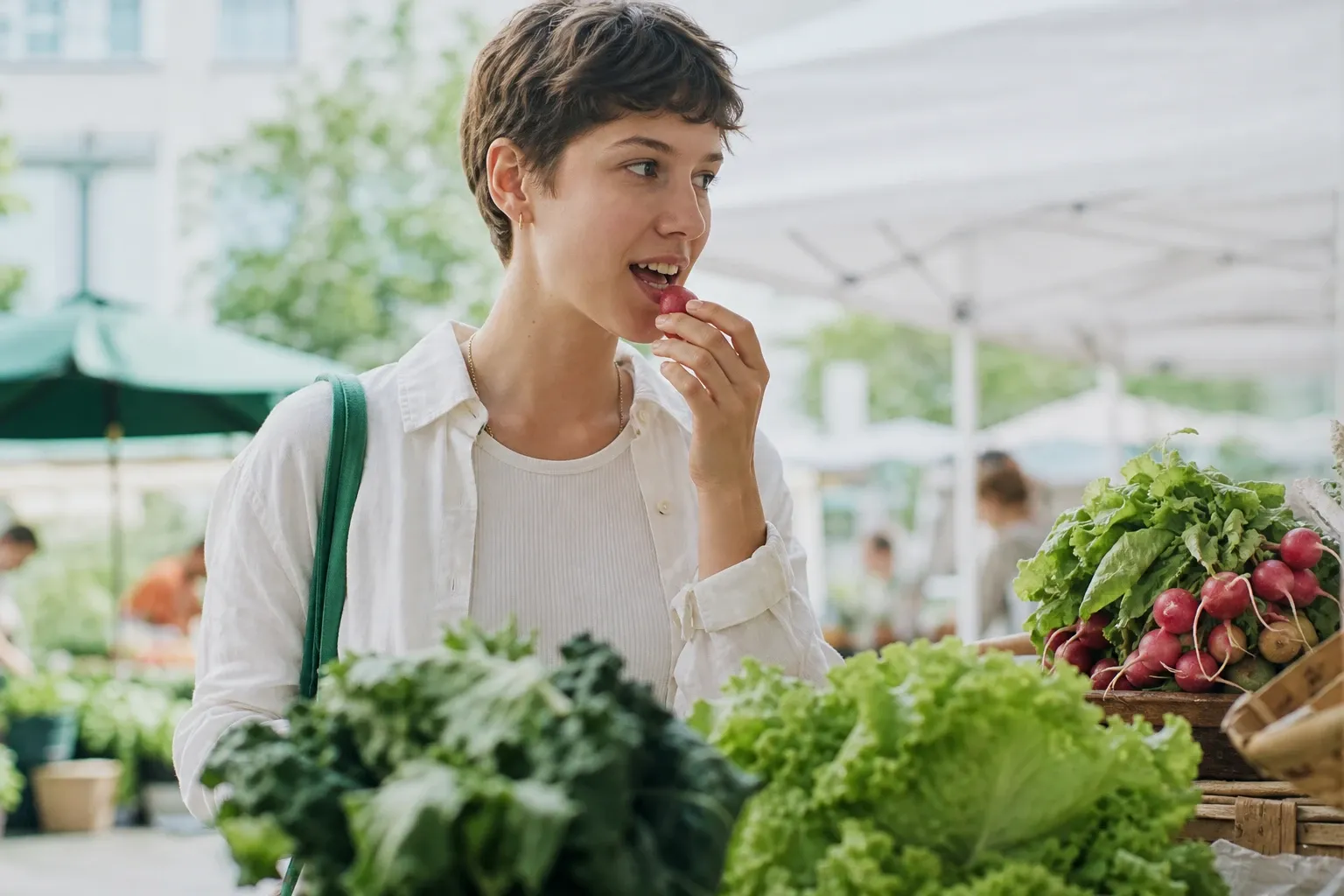 The Bacteria in Your Mouth